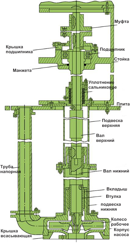 Нв мт е 50 50. Насос полупогружной нв 50/50 чертеж. Насос НВД 50/50 чертеж. Насос АХП 50-32-200 чертеж. Насос НВЕ 50/50 чертеж.